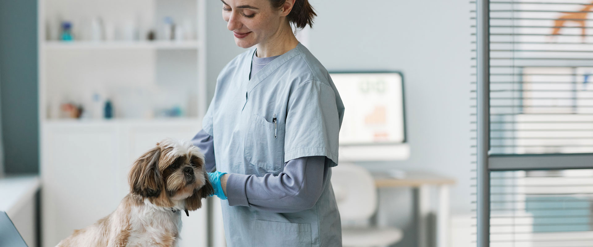 Cropped Adobestock 561890200