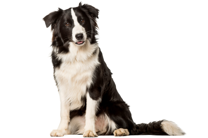 Adobestock 272306282