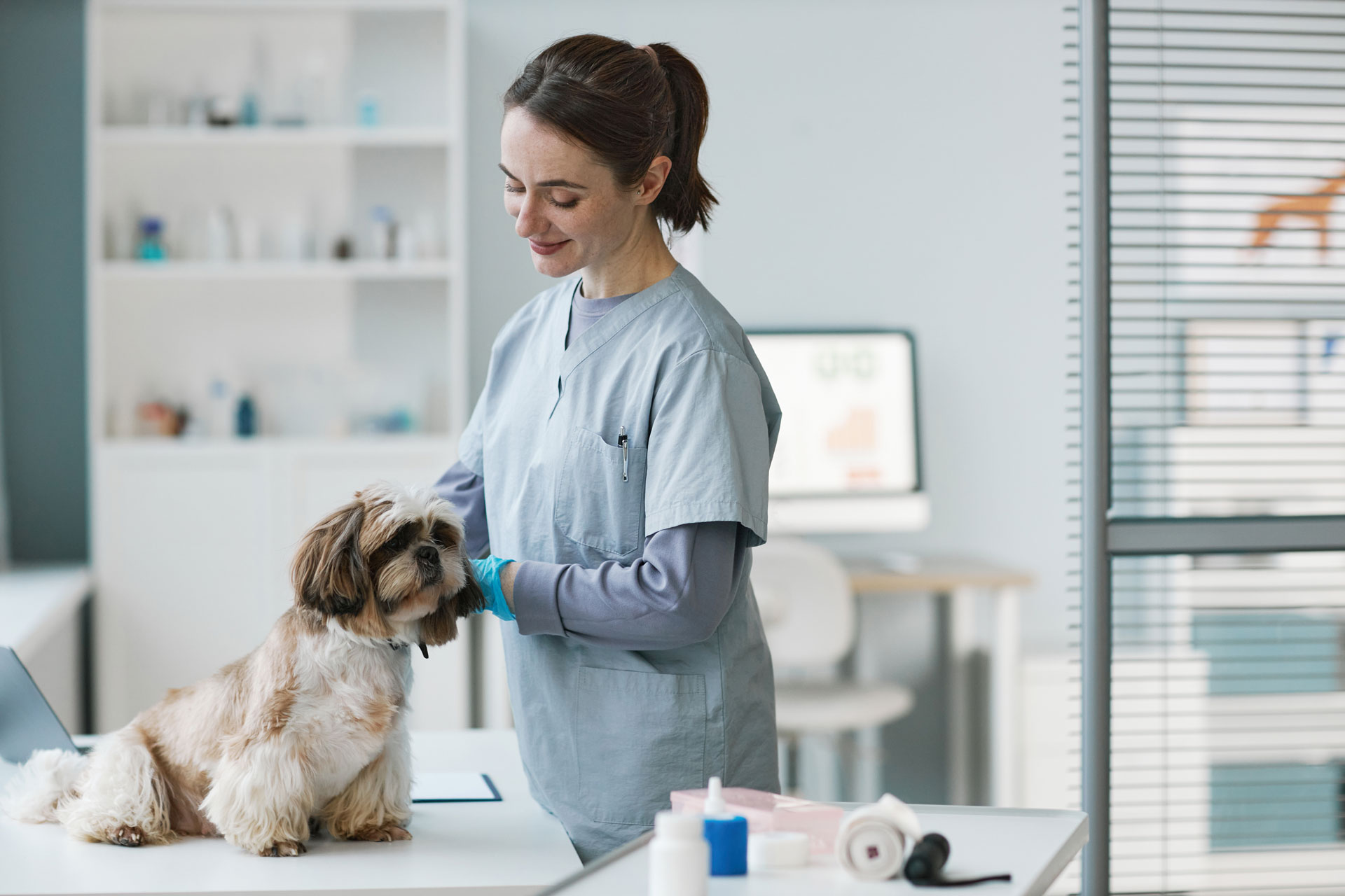 Adobestock 561890200