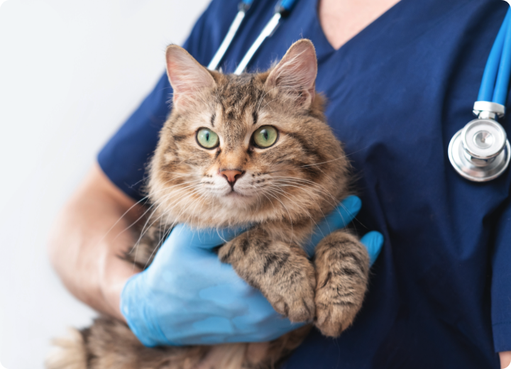 Fixing Omissions In Billing